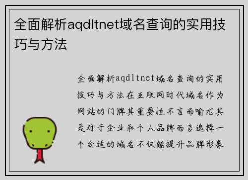 全面解析aqdltnet域名查询的实用技巧与方法